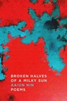 Broken Halves of a Milky Sun - Aaiun Nin - 9781662600791