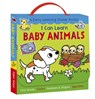I Can Learn Baby Animals Boxed Set: 4 Early Learning Sticker Books! - Cassie Cook - 9781664341081