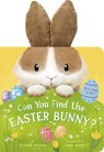 Can You Find the Easter Bunny? - Danielle McLean - 9781664351356