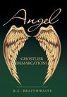 Angel - R E Braithwaite - 9781665716673