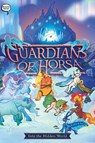 Into the Hidden World - Roan Black - 9781665952781