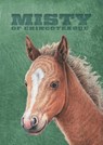 Misty of Chincoteague: Special Edition - Marguerite Henry - 9781665955713