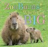 Zooborns! When I'm Big - Andrew Bleiman - 9781665956000