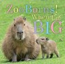 ZooBorns! When I'm Big - Andrew Bleiman ; Chris Eastland - 9781665956017