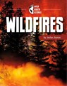Wildfires - Jaclyn Jaycox - 9781666327557