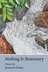 Nothing Is Stationary - Joanne Esser - 9781666406986