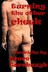 Turning the Other Cheek - Bruce Turnbaugh - 9781667104713