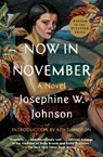 Now in November - Josephine Johnson - 9781668004227