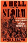 Brown, D: Hell of a Storm - David S Brown - 9781668022818
