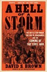 Hell of a Storm - David S. Brown - 9781668022825