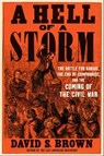 A Hell of a Storm - David S. Brown - 9781668022832