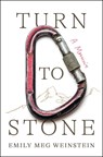 Turn to Stone - Emily Meg Weinstein - 9781668047866