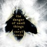 The Danger of Small Things -  - 9781668157718