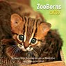 ZooBorns Cats!: The Newest, Cutest Kittens and Cubs from the World's Zoos - Andrew Bleiman - 9781668207390