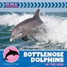 Bottlenose Dolphins in the Wild - Virginia Loh-Hagan - 9781668972755