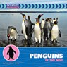 Penguins in the Wild - Helen Foster James - 9781668972816