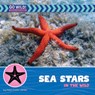 Sea Stars in the Wild - Helen Foster James - 9781668972847