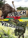 Ostrich vs. Velociraptor - Charles C. Hofer - 9781669088998