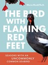 The Bird with Flaming Red Feet: Seasons with an Uncommonly Common Seabird - Maria Mudd Ruth - 9781680517255