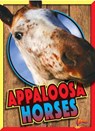 Appaloosa Horses - NOLL,  Elizabeth - 9781680727074