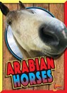 Arabian Horses - NOLL,  Elizabeth - 9781680727081