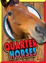 Quarter Horses - NOLL,  Elizabeth - 9781680727111