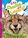 Is It a Cheetah or a Leopard? - TERP,  Gail - 9781680728989