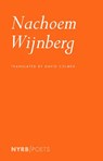 Nachoem M. Wijnberg - Nachoem M. Wijnberg - 9781681376530
