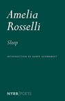 Sleep - Amelia Rosselli - 9781681377834