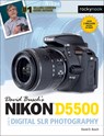 David Busch's Nikon D5500 Guide to Digital SLR Photography - David D. Busch - 9781681980386