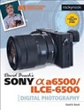 David Busch's Sony Alpha a6500/ILCE-6500 Guide to Digital Photography - David D Busch - 9781681982502