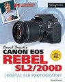 David Busch's Canon EOS Rebel SL2/200D Guide to Digital SLR Photography - BUSCH,  David D. - 9781681983387