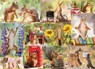 Gettin' Squirrelly 1000-Piece Puzzle -  - 9781682348598