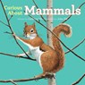 Curious about Mammals - Cathryn Sill - 9781682631980