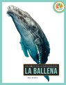 La Ballena - Nell Musolf - 9781682779682