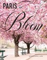 Paris in Bloom - Georgianna Lane - 9781683350187
