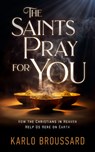 The Saints Pray for You: How the Christians in Heaven Help Us Here on Earth - Karlo Broussard - 9781683573593