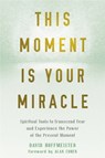 This Moment Is Your Miracle - David Hoffmeister - 9781684031870
