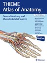 General Anatomy and Musculoskeletal System (THIEME Atlas of Anatomy) - Michael Schuenke ; Erik Schulte ; Udo Schumacher ; Wayne Cass - 9781684205899