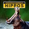 Hippos - Madison Parker - 9781684502660