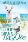 Tear Down and Die: Book #1 in the Cara Mia Delgatto Mystery Series - Joanna Campbell Slan - 9781698289496
