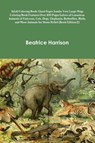 Adult Coloring Book - Harrison Beatrice Harrison - 9781716019067