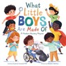 What Little Boys Are Made Of - Susanna Leonard Hill - 9781728251455