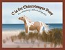 C is for Chincoteague Pony - Aspen Willow - 9781733376310