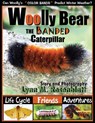 Woolly Bear the Banded Caterpillar - Lynn M Rosenblatt - 9781733473255