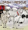 Dash to the Rescue - Jan Fenimore - 9781733717052