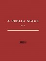 A Public Space No. 30 - Brigid Hughes - 9781733973007