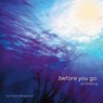 before you go - Sharon Bridgforth - 9781734140293