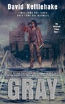 Gray - David Kettlehake - 9781734495010