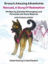 Rescued - Juliette Winningham ; Fernando Ramirez ; Dana Ramirez - 9781734770162